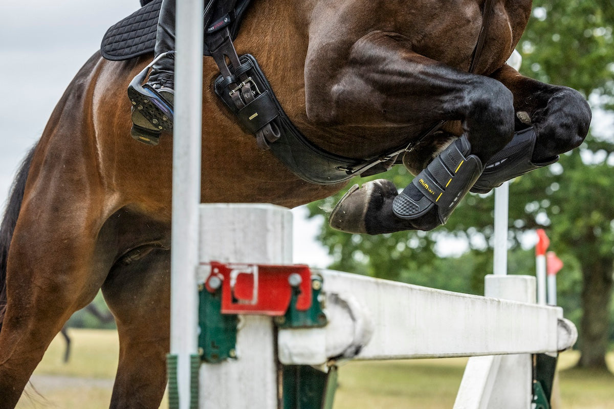 Lemieux | MIMsafe XC & Jumping Boot